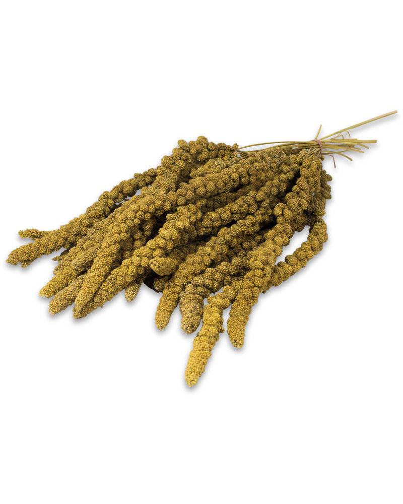 JR FARM JR-Farm Gele trosgierst 75gr.