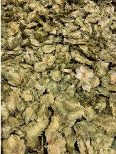 Houblon 100 gr - 1 kg