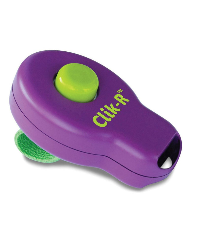 Clicker paars