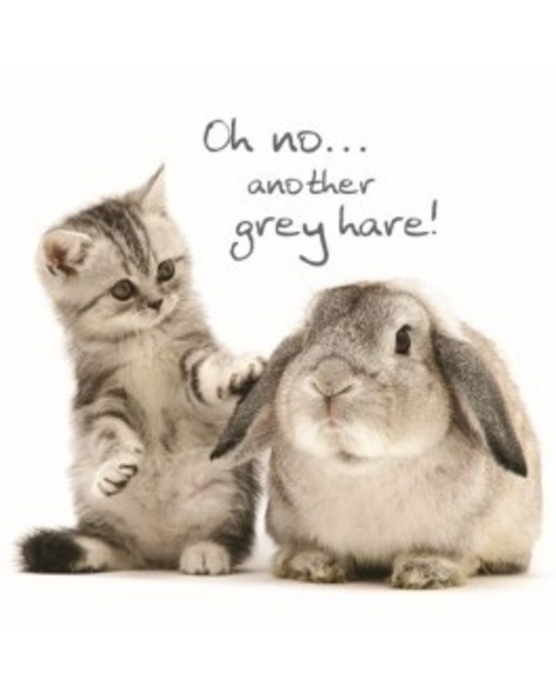 Birthday card  Grey Hares