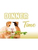 Placemat. Cavia Dinner Time!