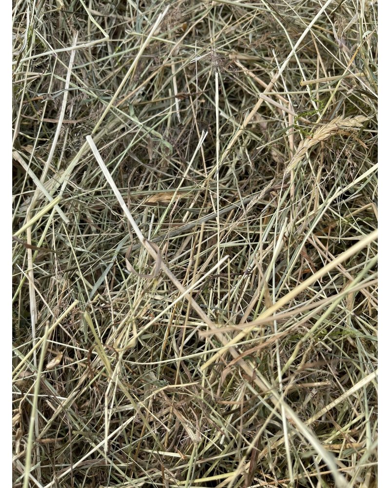 German Herbal hay Pure nature,  cut july 2023