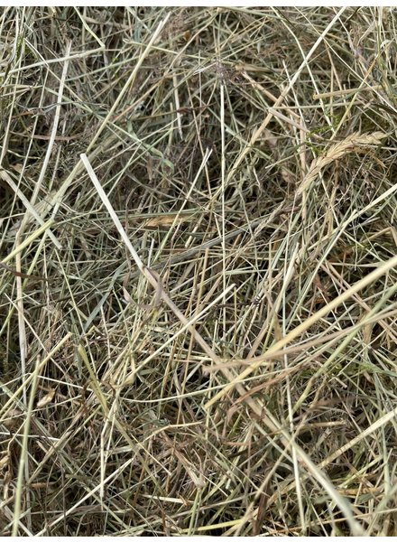 Foin allemand aux herbes, pure nature de 2023 BALE