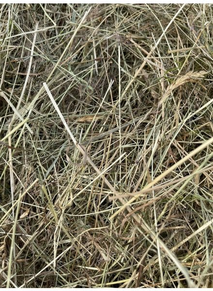 German Herbal hay Pure nature,  cut july 2023 BALLS