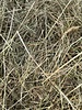 German Herbal hay Pure nature,  cut july 2023 BALLS