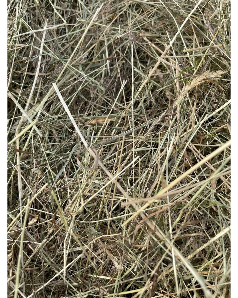 Foin allemand aux herbes, pure nature de 2023 BALE