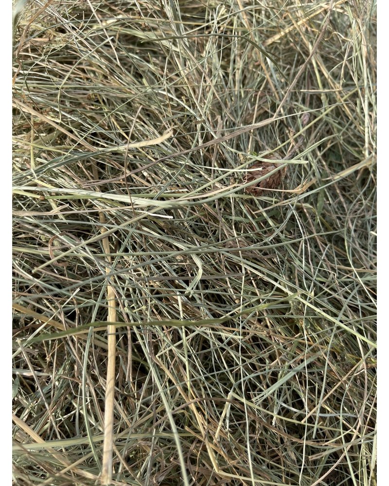 Premium German herbal hay