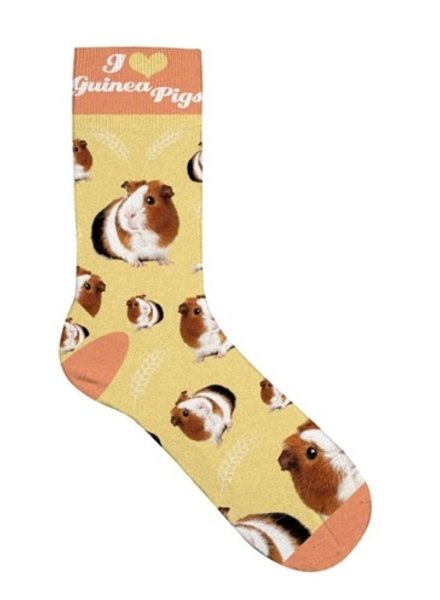 socks with guinea pigs