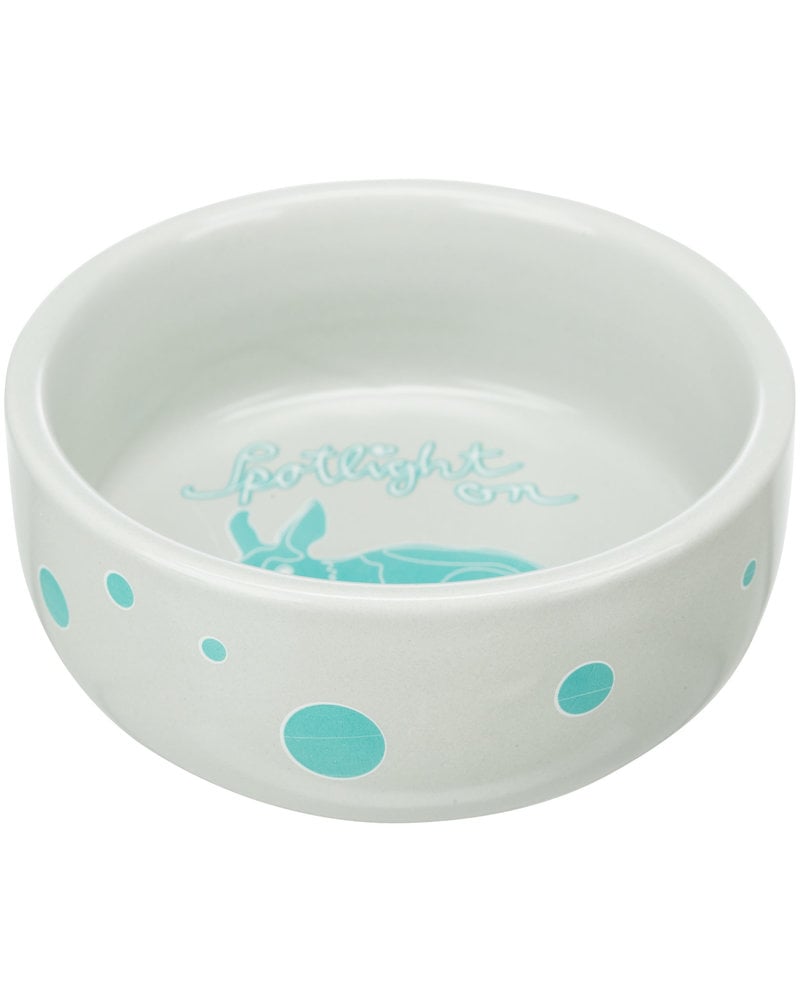 Ceramic Feed/Water bowl