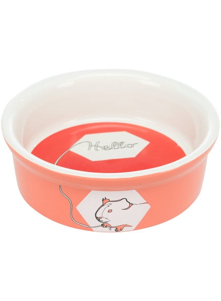 Ceramic Feed/Water bowl Guinea Pig