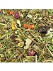 Herb mix for rabbits and guinea pigs