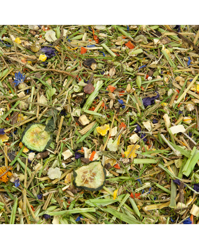 Salade de légumes croquants