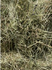 Belgian nature  hay,  2023 BALLS