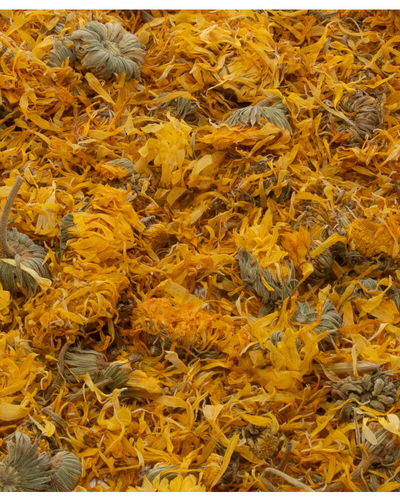 Goudsbloem - Calendula officinalis