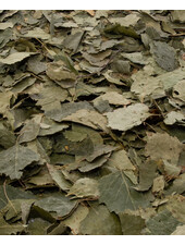 Birch leaves 100 gr - 1kg