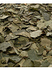 Birch leaves - Betula folium