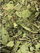 Dandelion leaves first choice 1.5 - 15 kg