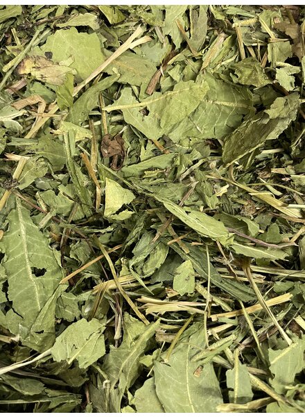 Dandelion leaves first choice 100gr - 1 kg