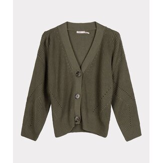 ESQUALO F22.07519 Cardigan v-neck leaf green