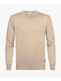 PROFUOMO Beige tech crewneck PPTJ30033E