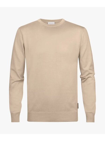 PROFUOMO Beige tech crewneck PPTJ30033E