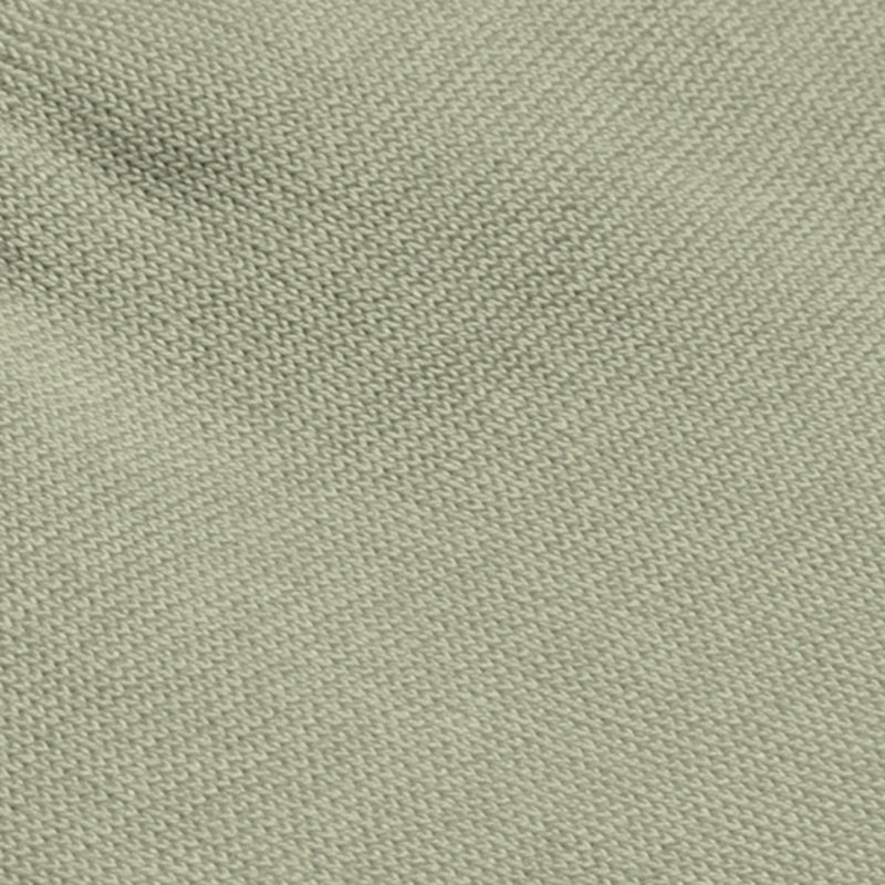 CARLO LANZA Pistache katoenen herensokken 100-162| Carlo Lanza