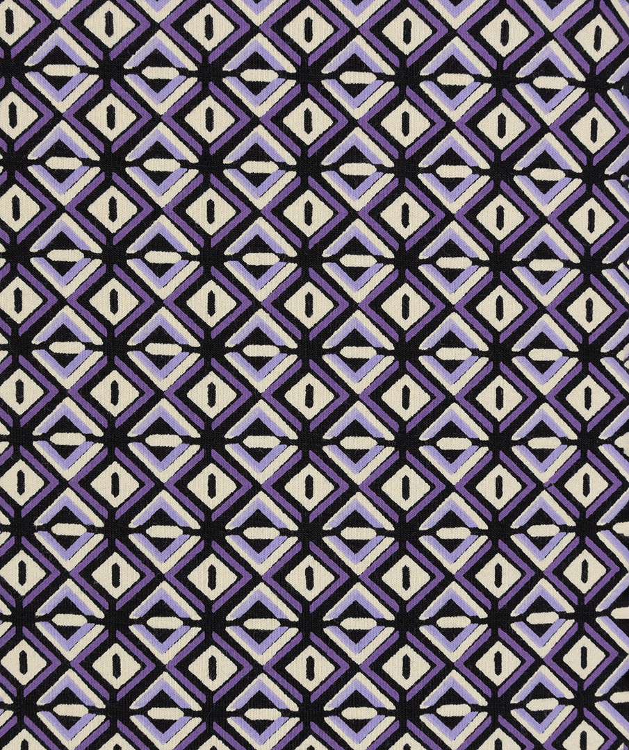 ESQUALO F23.30505 Top turtle graphic earth print