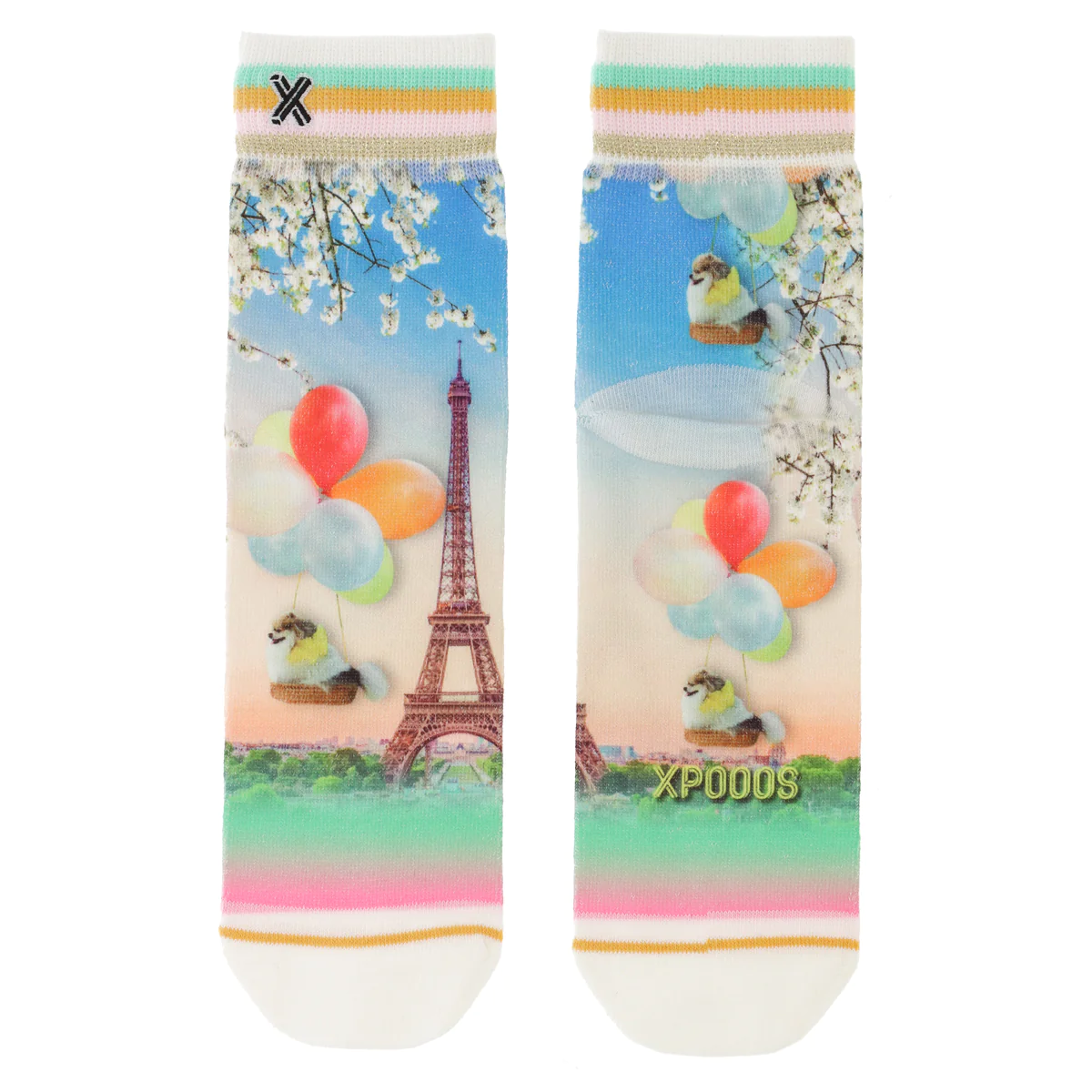 XPOOOS SHORTSOCK XPOOOS DOG TAXI