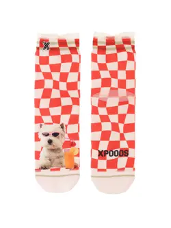 XPOOOS SHORTSOCK XPOOOS COCTAIL HOUR