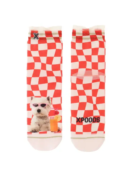 XPOOOS SHORTSOCK XPOOOS COCTAIL HOUR