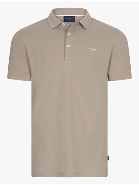 CAVALLARO Cavallaro Bavegio polo light green