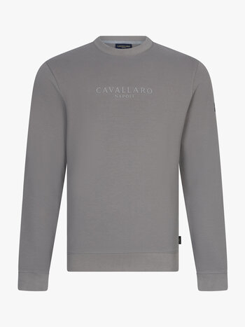 CAVALLARO Cavallaro Sanago r neck sweat faded grey