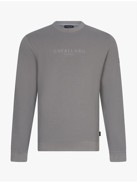 CAVALLARO Cavallaro Sanago r neck sweat faded grey