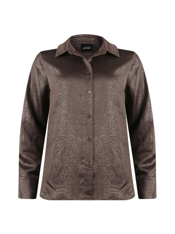 Poools fashion Glanzende blouse bruin