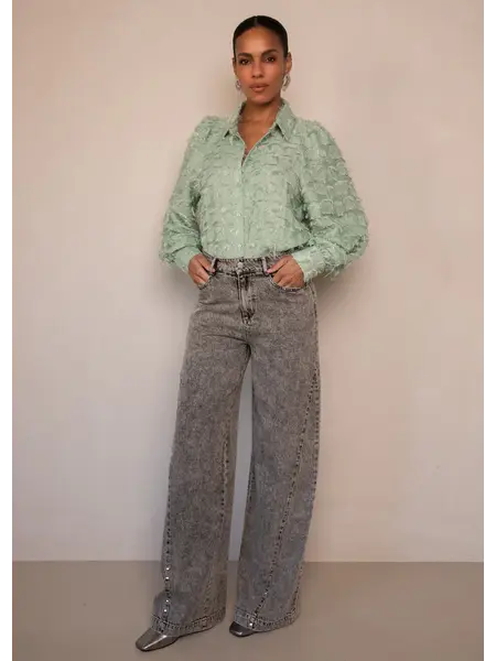 FREEBIRD Melody stud pants grey wash