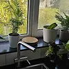 Custom photo 5