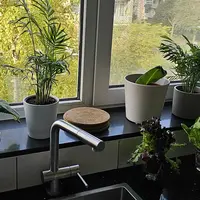 Custom photo 4 Custom photo 4