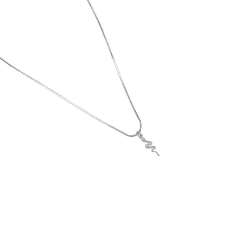 Silver Solid Snake Necklace