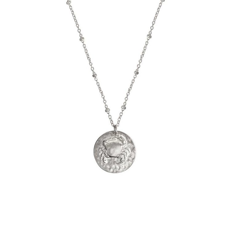 Silver Sign Of The Zodiac Necklace