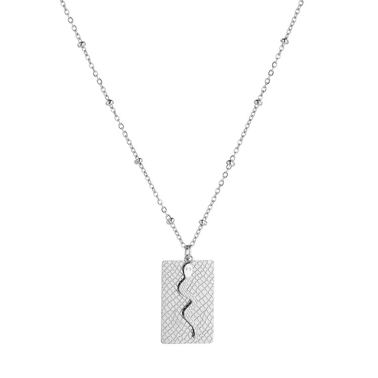 Silver Snake Tag Necklace