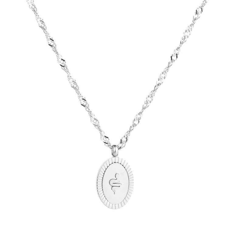 Silver Snake Coin Necklace