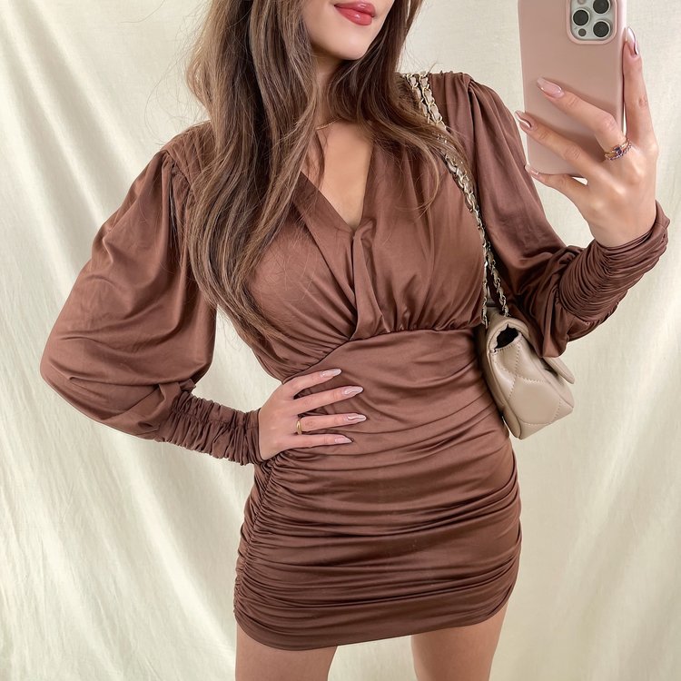 Mimmi Ruched Dress / Brown