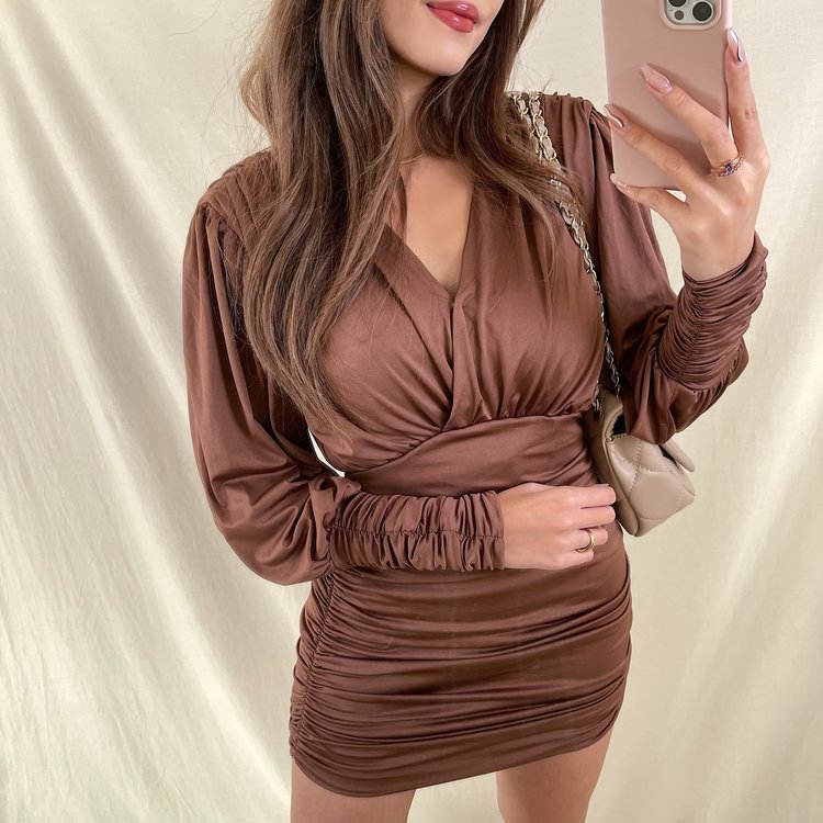 Mimmi Ruched Dress / Brown
