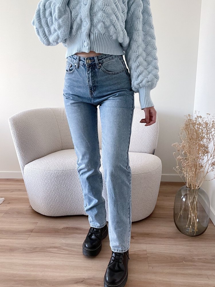 Jiana Straight Leg Jeans / Blue