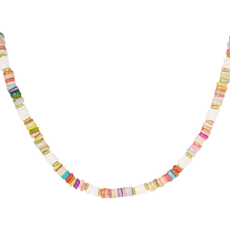 Rainbow Shell Necklace