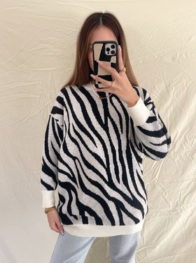 Remiah Zebra Knit Sweater
