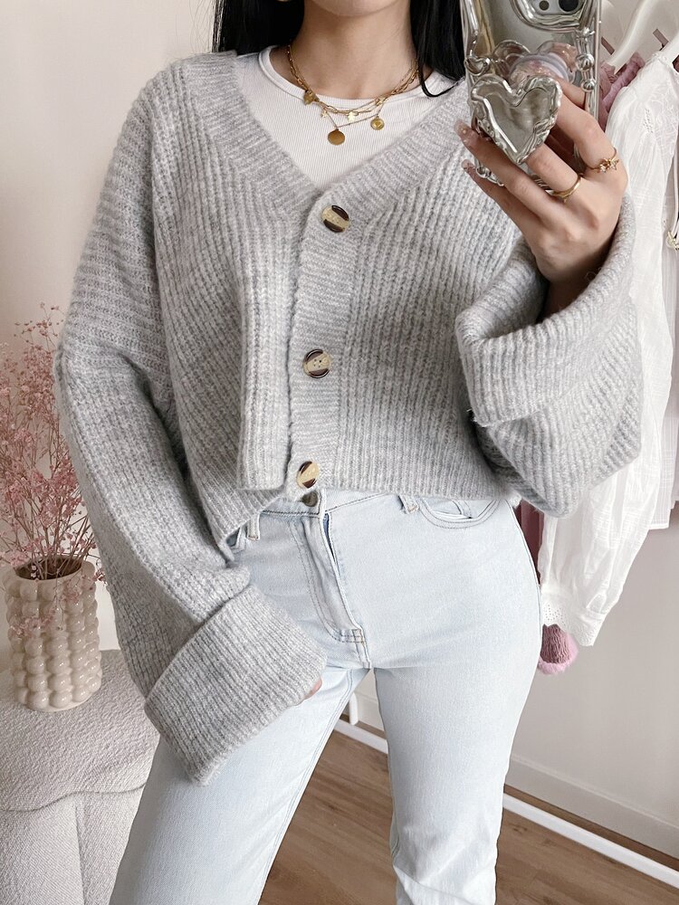 Raima Button Knit Cardigan / Grey