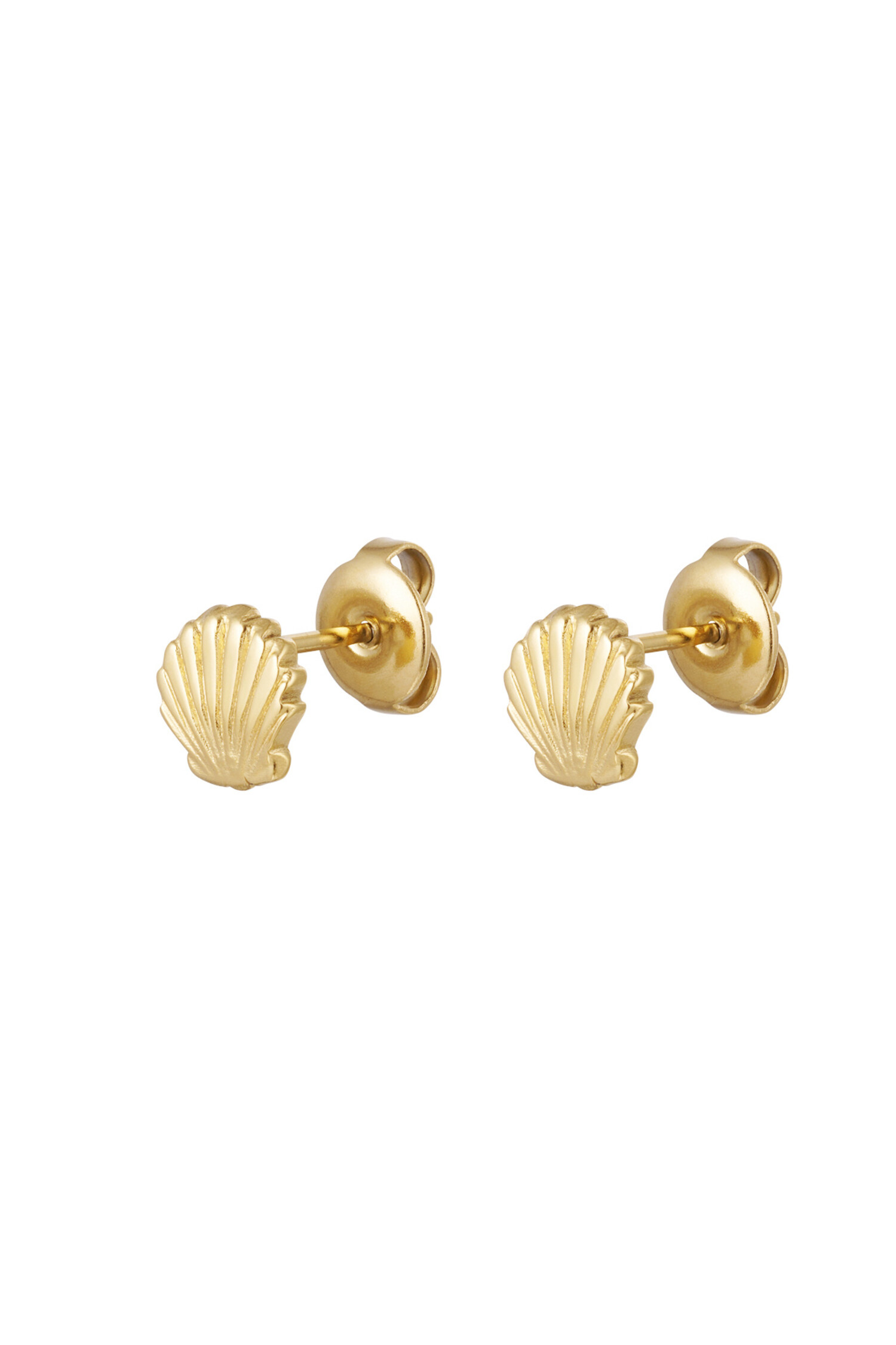 Gold Shell Stud Earrings