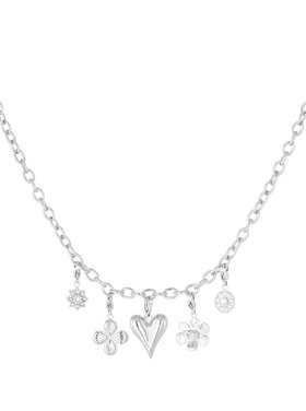 Silver Elegant Mixed Charms Necklace