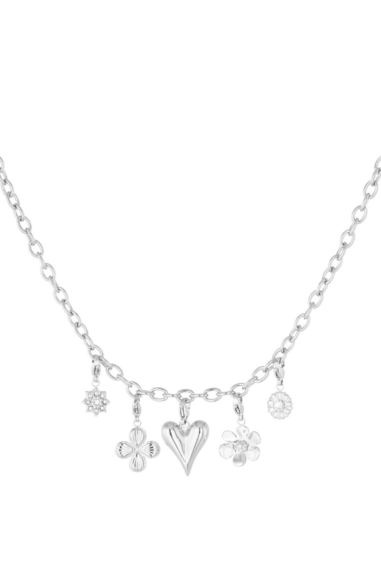 Silver Elegant Mixed Charms Necklace